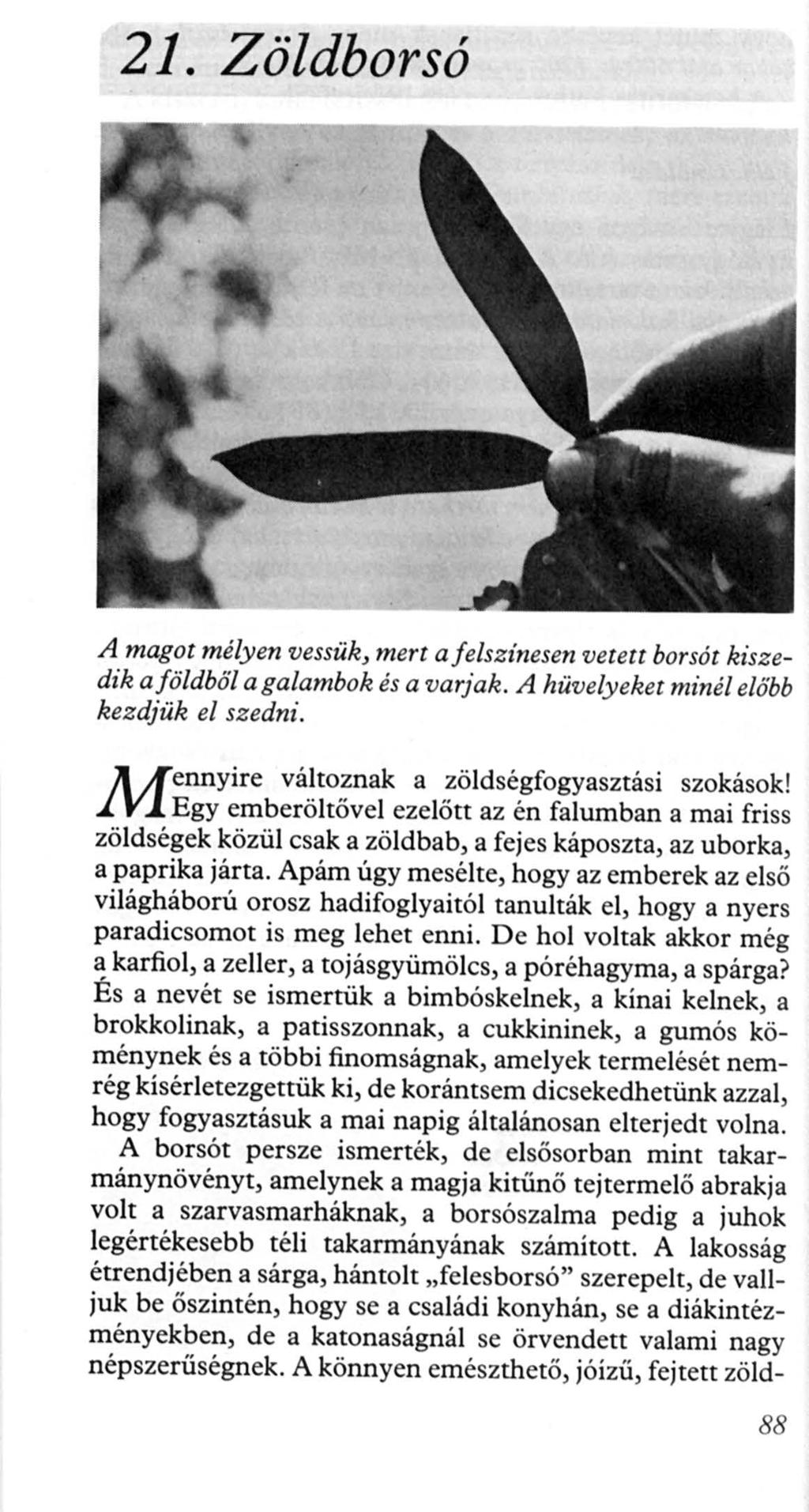 21. Zöldborsó A magot mélyen vessük, mert a f elszínesen vetett borsót kiszedik a földből a galambok és a varjak. A hüvelyeket minél előbb kezdjük el szedni.