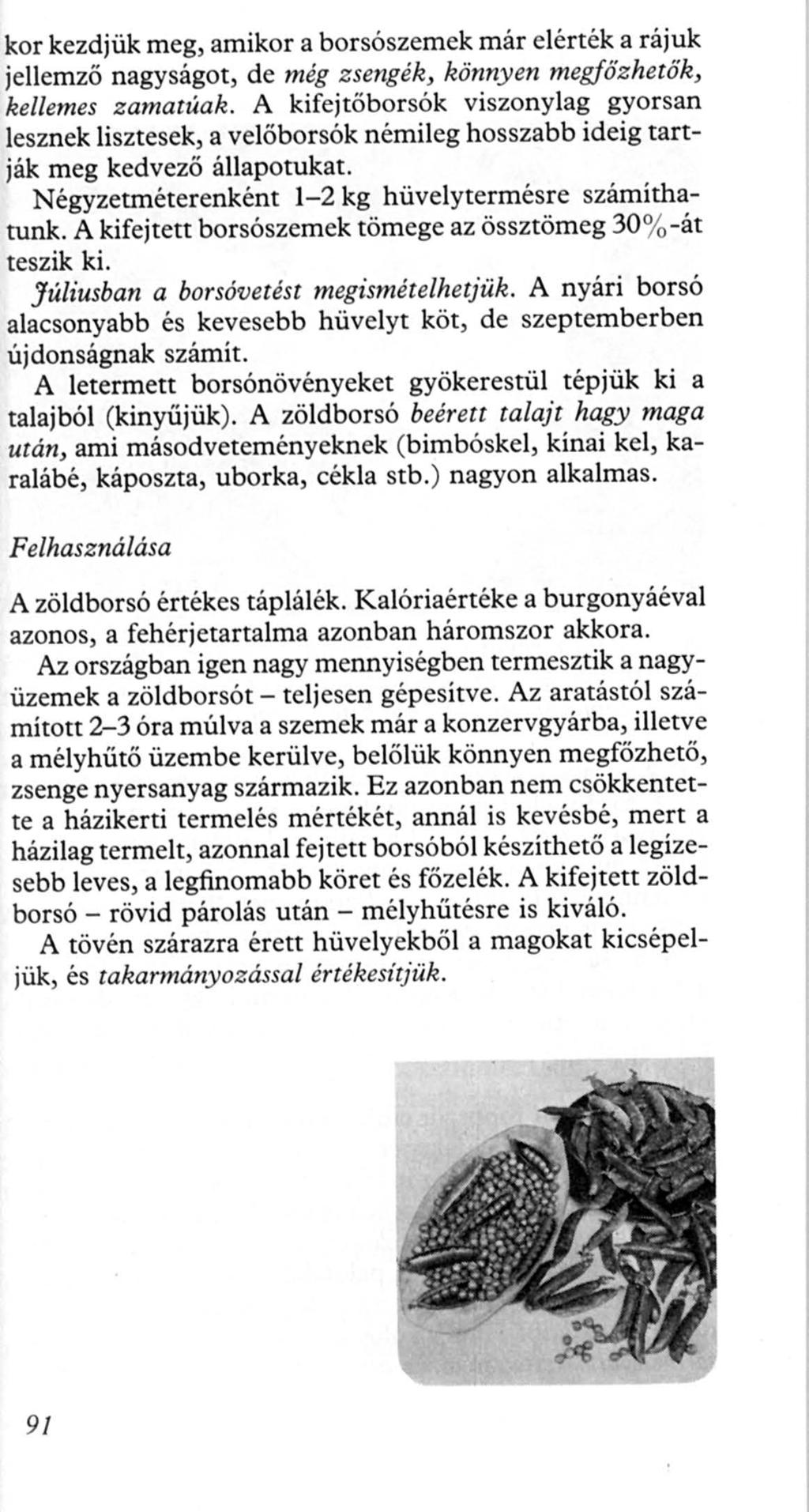 kor kezdjük meg, amikor a borsószemek már elérték a rájuk jellemző nagyságot, de még zsengék, könnyen megfözhetök, kellemes zamatúak.