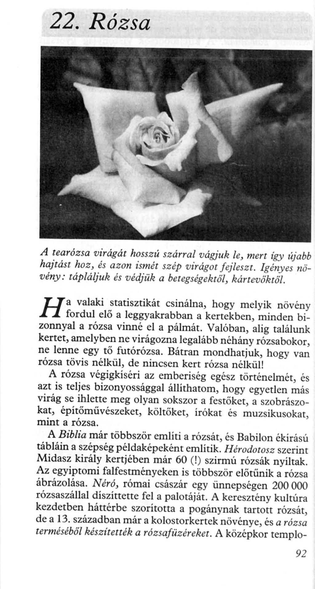 22. Rózsa A tearózsa virágát hosszúszárral vágjuk le, mert így újabb hajtást hoz, és azon ismét szép virágot f ejleszt. Igényes növény: tápláljuk és védjük a betegségektöl, kártevöktöl.