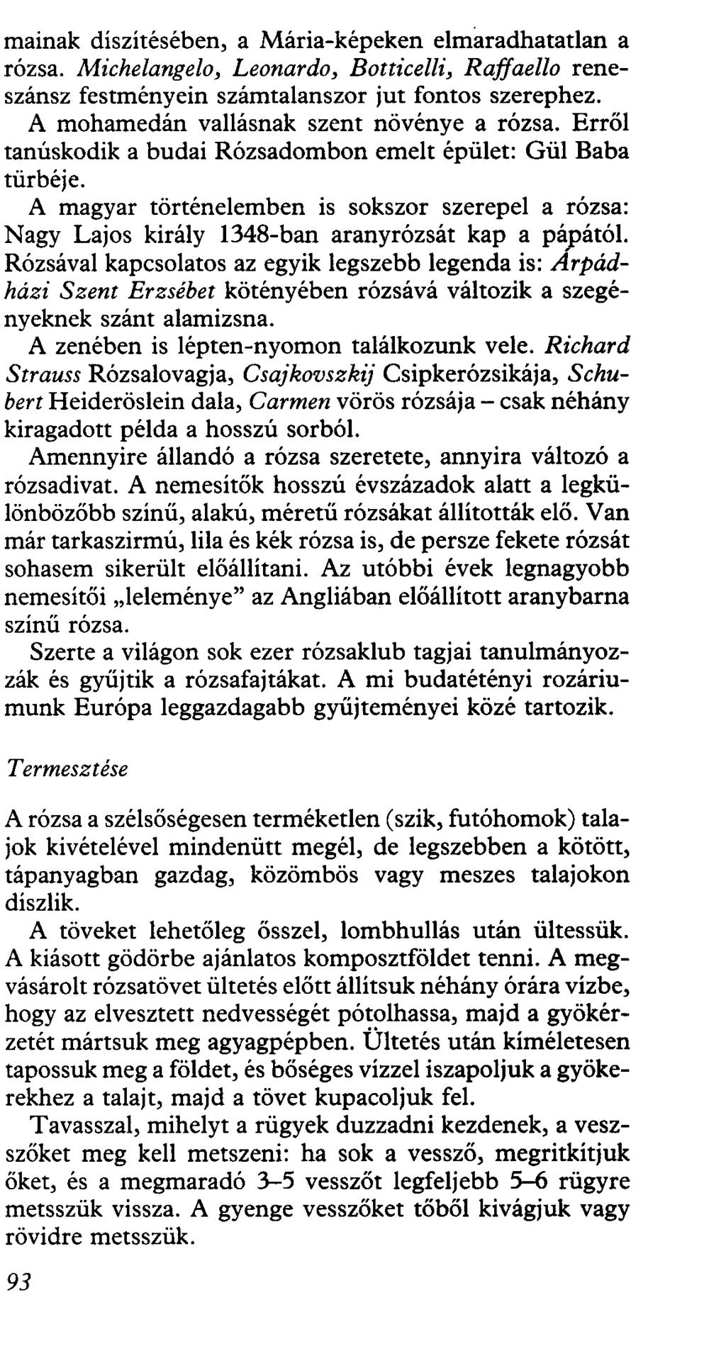 mainak díszítésében, a Mária-képeken elmaradhatatlan a rózsa. Michelangelo, Leonardo, Botticelli, Raffaello reneszánsz festményein számtalanszor jut fontos szerephez.