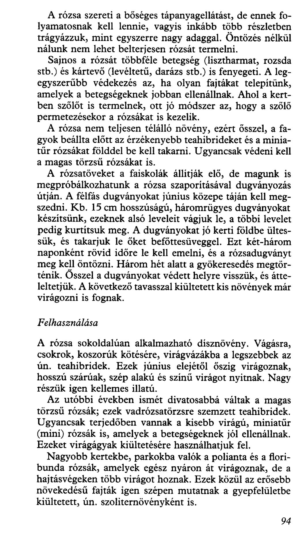A rózsa szereti a bőséges tápanyagellátást, de ennek folyamatosnak kell lennie, vagyis inkább több részletben trágyázzuk, mint egyszerre nagy adaggal Öntözés nélkül nálunk nem lehet belterjesen