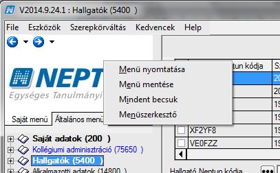 5.1.2. Fastruktúra/menü egyéb opciói A menüstruktúra feletti részen a Neptun feliraton jobb egérgombbal kattintva megjelenő ablakban négy funkcionalitás érhető el.