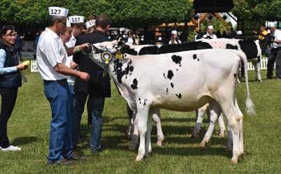 , Bóly a Bonafarm csoport tagja EGYESÜLETI ÉLET Második helyezettje a 207