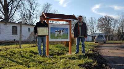 október 17-én már be is került a tenyészetbe. Buda jó választásnak bizonyult, hiszen 10 laktációjából 7-ben 11.000 kg felett termelt. A fényképezéssel járó hercehurcát nagyon jól viselte. Ják 130.