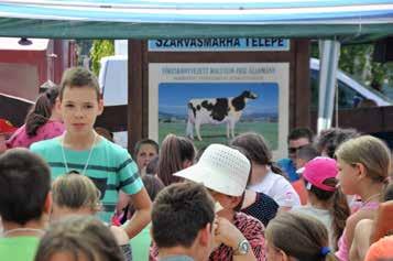 A Tej Világnap után, de persze hozzá szorosan kapcsolódva a most már 20 éves hagyománynak megfelelően Dunakilitin ismét tejnapot tartottak.