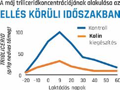 HAZAI SZERZŐINK Előzze meg a ketózist, termeljen több tejet! Kürthy-Molnár Zoltán Timac AGRO Hungária Kft.