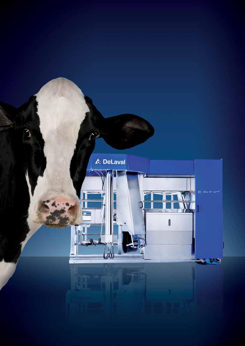 Akár 3000 liter tej naponta Kevesebb, mint 5 munkaóra tehenenként évente Több tej egészséges