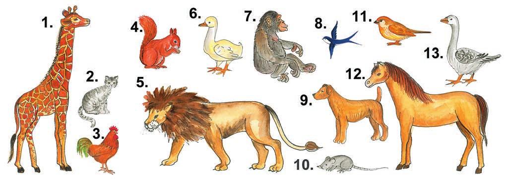 1. a) Csoportosítsd az állatokat a megadott szabály szerint! (Csak a számokat írd le!) b) Írd az utolsó két keret címkéjébe az elnevezéseket! Folytasd a csoportosítást! 2.