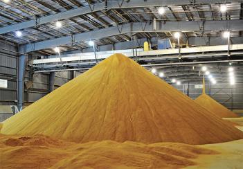 Elválasztás nélküli technológia A teljes szem bekerül az elfolyósító folyamatba daraként (Pannonia Ethanol, Dunaföldvár) Száraz őrléssel kezdődik, és a rost (héj, stb) végighalad az erjesztésen és a