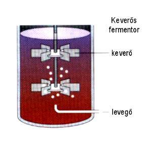 Élesztőgyártás Mi a különbség? A levegő! A pékélesztő (Saccharomyces cerevisiae) fakultatív anaerob ami azt jelenti, hogy oxigén jelenlétében és anélkül is tud szaporodni.