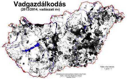 000 pld.-t számláltak. A csökkenést elsősorban a száraz évtizednek és a nagy vadászati nyomásnak, főként a zavarásnak a számlájára lehet írni.