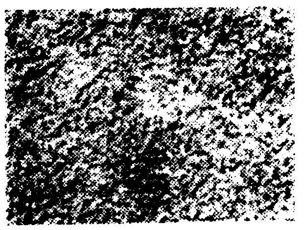 MSZ 15031 53 20 6.08.