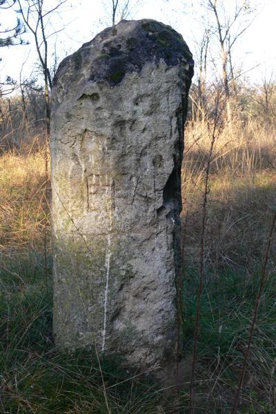 EOV: