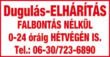 A felajánlás lehet: családi belépő élményparkba, uszodába, fürdőbe, moziba,