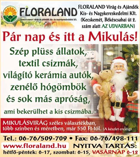 nélküli megoldás.