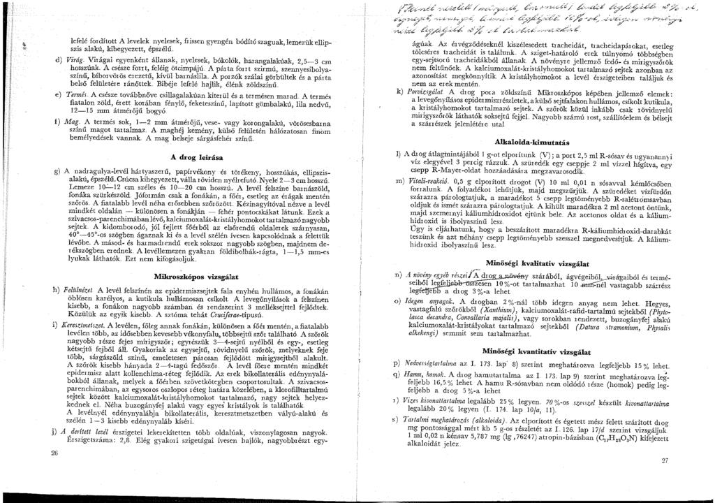 lefelé fordított A levelek nyelesek, frissen gyengén bódító szaguak, lemezük ellip- szis alakú, kihegyezett, épszélű d) Virág.