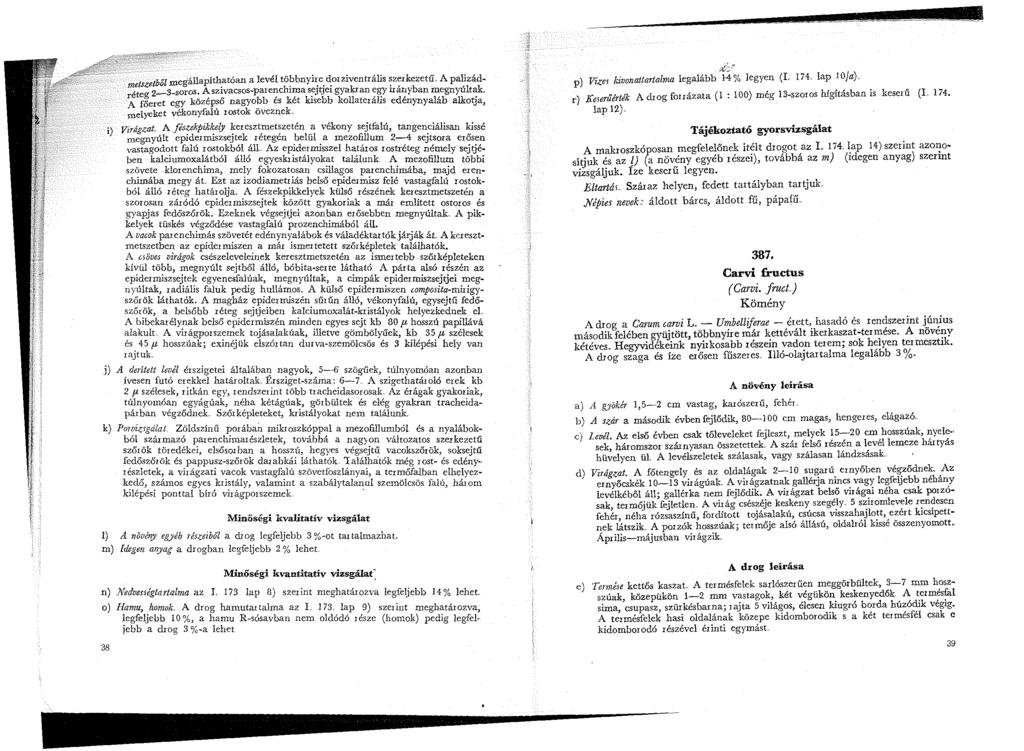 - metszetből megállapíthatóan a levél t~bbnyir.e. d.orzi~ntrális ~z;rk';:'etű A pa~fátréteg 2-3-soros. A;sz~,vacsos-pbabrei;c kr~aks;jtjbebr gkya an ;gy. udai;y an m,ebgnylku t.