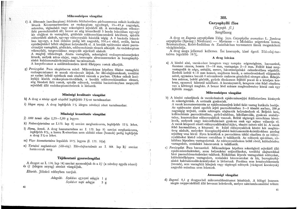 Mikroszkópos vizsgálat f) A féltermés (merikarpium) felületén felülnézetben párhuzamosan csíkolt kutikulát látunk Keresztmetszetben az exokarpium egyrétegű,.5-4.