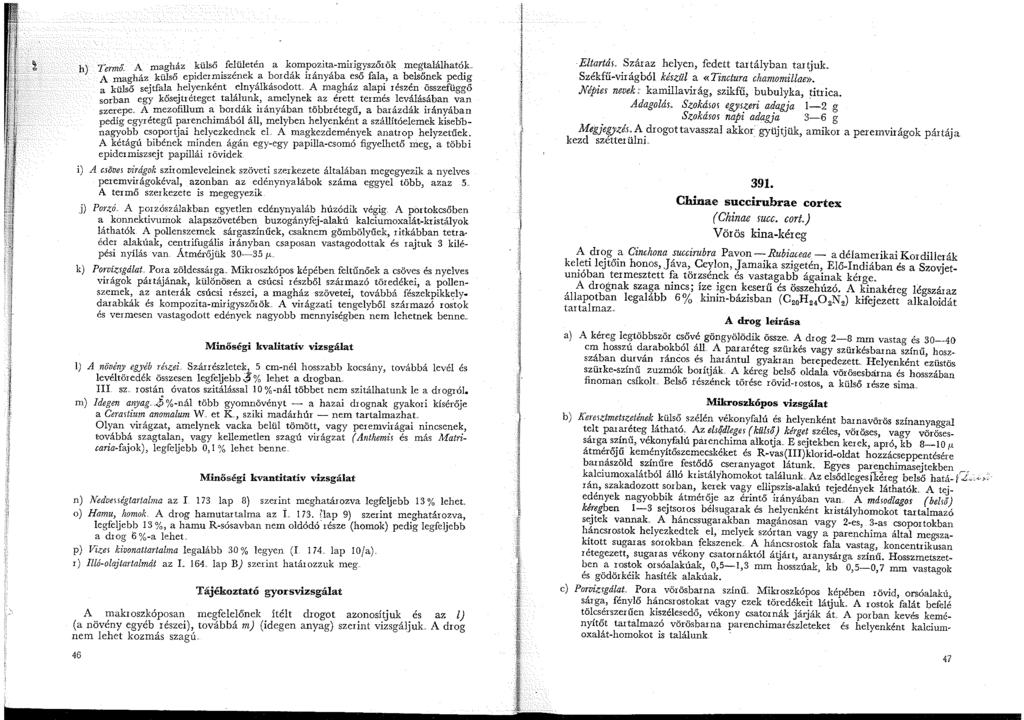 "' " A gház külső felületén a kompozita-mirigyszőrök megtalálhatók h), ermo. ma., k b d'k., 'b " ' b '-" k d' A magház külső epiderm_szene,a, or a iranya a ;so ia <:' ~ ~Rio:ie ~~ I?