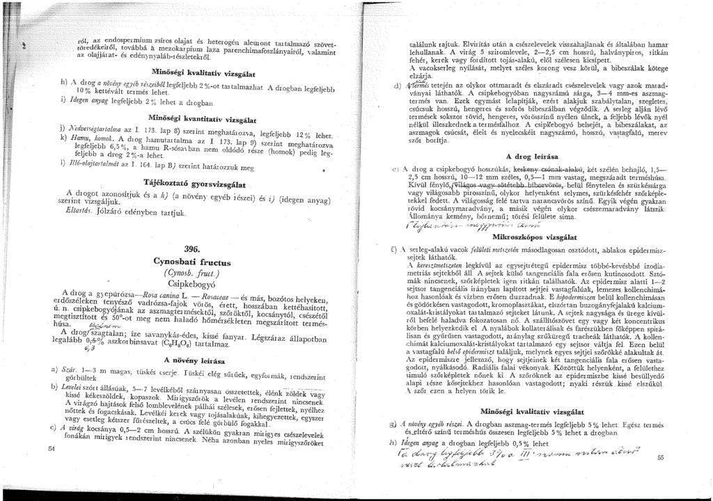 ról, az ~n_dosr)emium zsíros olajat és heterogén aleuront tartalmazó szövettöredé~.~ről, ~ováb?á a mezokarpiun laza parenchimafoszlányai!ól, valamint az olaj.jaat- es eden ynyaláb-részletekről.. h).