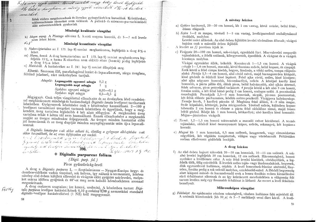 , d zzadnak és ilyenkor gyöngyfüzérhez hasonlóak Kristályokat. VIZhenmeg elemeket u nem tala 'l un k. A p:t r iza. 'd- e3 ' szrvacso3-parenc. h' m:i.u-o ''-'!