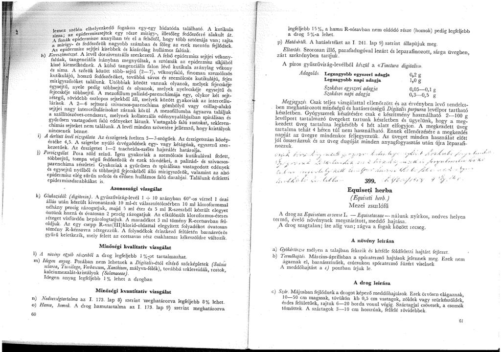 ... 'l' elhelyezkedő fügako:n egy-egy hidatóda található A kutikula l~me~ ::e :;dermiszsejtek. egy ~észe miri~,y:,' illetőle~ fedős~őrr,~ alakult ~t.
