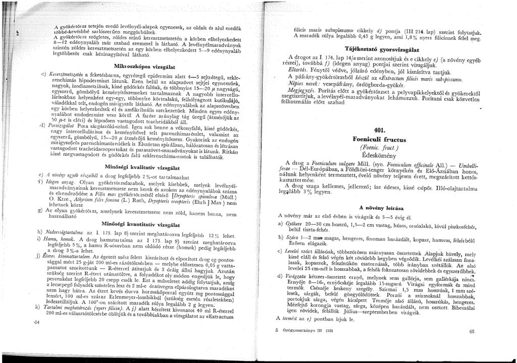 A gyökértörzs tetején eredő levélnyél-alapok egyenesek, az oldalt és alul eredők többé-kevésbbé sarlószerűen meggör bültek A gyökértörzs szögletes, zöldes színű keresztmetszetén a körben