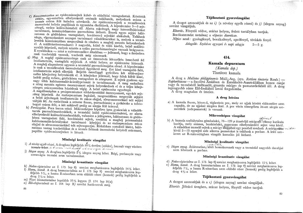 .. t. zethen az epidermiszsejtek külső- és oldalfalai vitstagodottak, Közöttük f) Ke:~z,tme s~gy-szintben elhelyezkedő sztómák találhatók, melyeknek száma a :~ri:~; csúcsa felé haladva növekszik Az