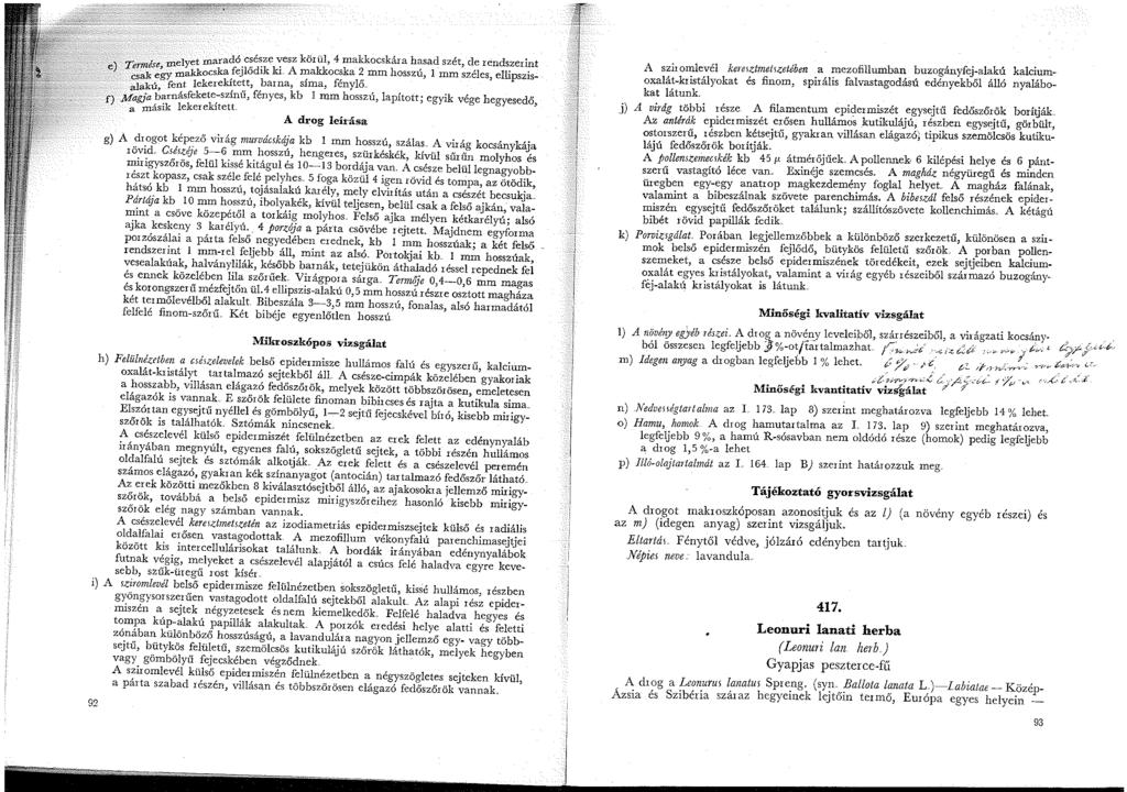 :---:--, _ et maradó csésze vesz körül, 4 makkocskára hasad szét, de rendszerint -e) Te_rmese, me :kkocska fejlődik ki. A makkocska 2 mm hosszú, mm széles, ellipszis-.