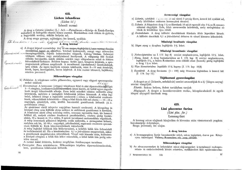 48. Lichen islandicus (Lichen isl.) Izlandi zuzmó A drog a Cetraria islandica (L) Ach -Parmeliaceae-Közép- és Észak-Európa mérsékelt és hidegebb észein honos zuzmó.