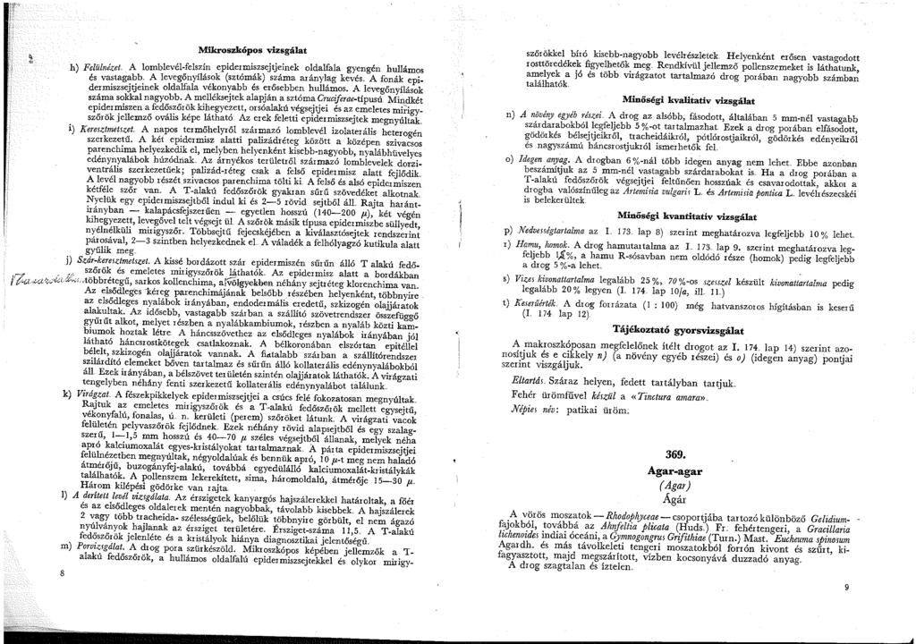 Mikroszkópos vizsgálat h) Felülnézet. A lomblevél-felszín epidermiszstjtjeinek oldalfala gyengén hullámos és vastagabb. A Ievegőnyílá~ok (sztóm~k) s,7áma arányl~g kevés.