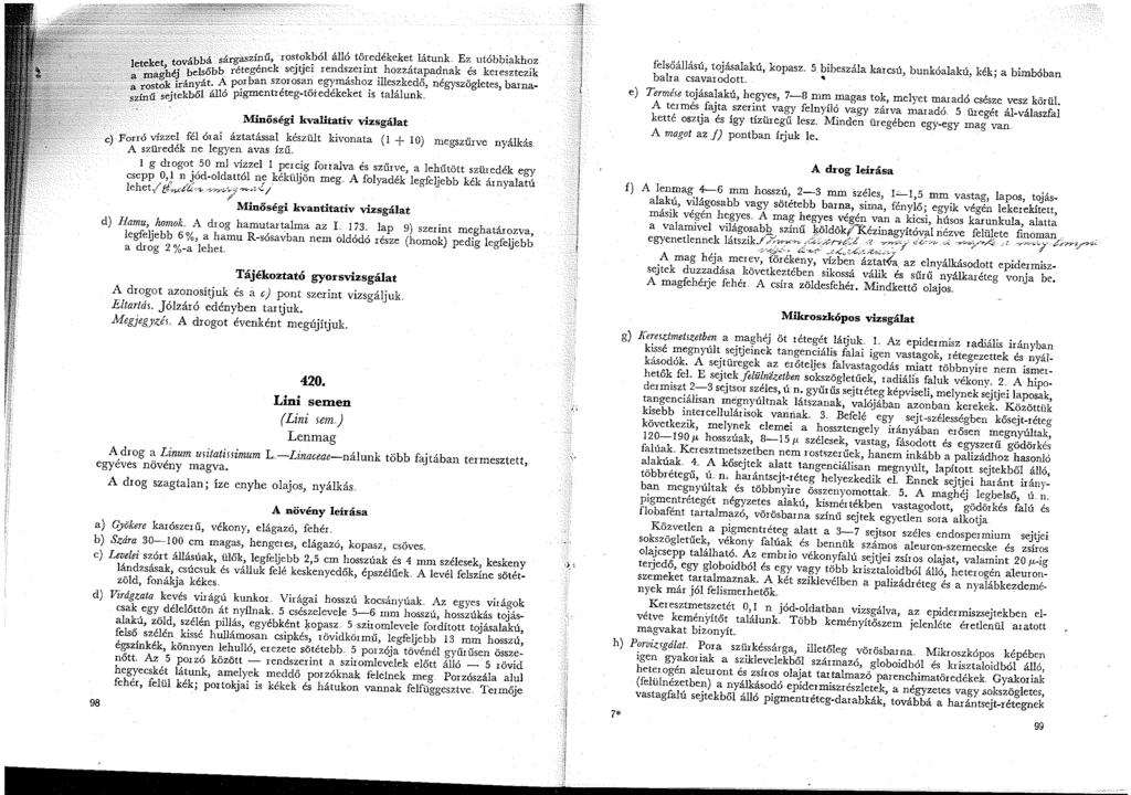 .. >...:..,,, aszínű, rostcikból álló töredékeket látunk Ez utóbbi?lkhoz sejtjei rendszerint hozzátapadnak és keresztezik l~teke~,--tc;-vab~<;b~a!tegének maghéj,be á~.