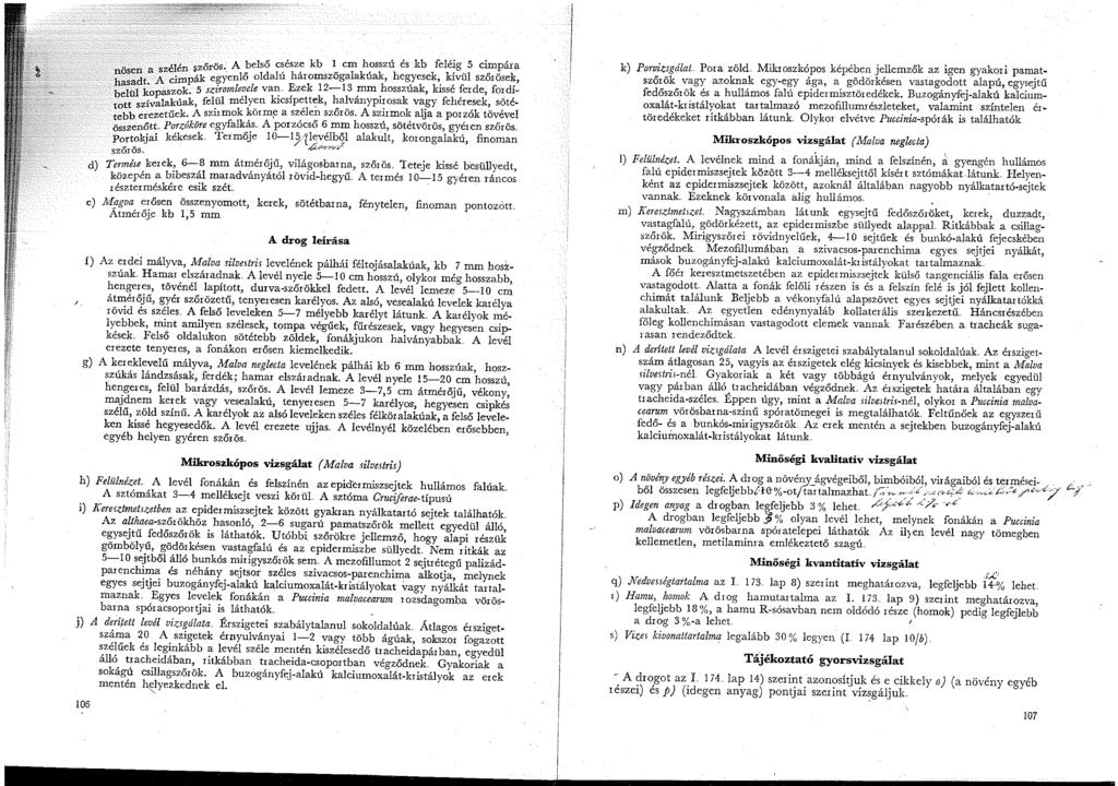 ,.. "_. " A belső csésze kb cm hosszú és kb feléig 5 cimpár~ nösen a. sze~én ~~r';;;enlő oldalú háromszögalakúak, hegyesek, kívül sz_őrösek, has::-dt.