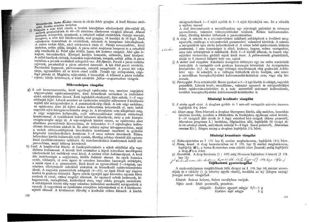 ~&.~mcell,ecil!k -Ezért /bnáka ráncos és sűrűn fehér gyapjas A levé~ felszíne sötét~ r_,_aj, o szürkén molyhos. <?