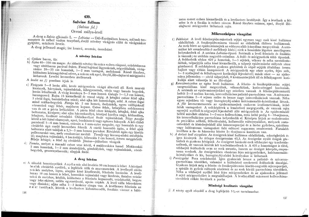 439. Salviae folium ( Salviae fol) Orvosi zsálya-levél A drog a Salvia officinalis L.