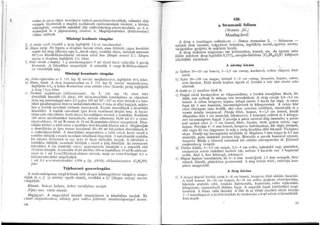 ezeket és zsíros olajat ta talmazó embrio parenchima-töredékek, valamint olaje cseppek Gyakoriak a maghéj nyálkásodó epidermiszének részletei, a kicsiny, sokszögletű, vastagfalú sejtekből álló