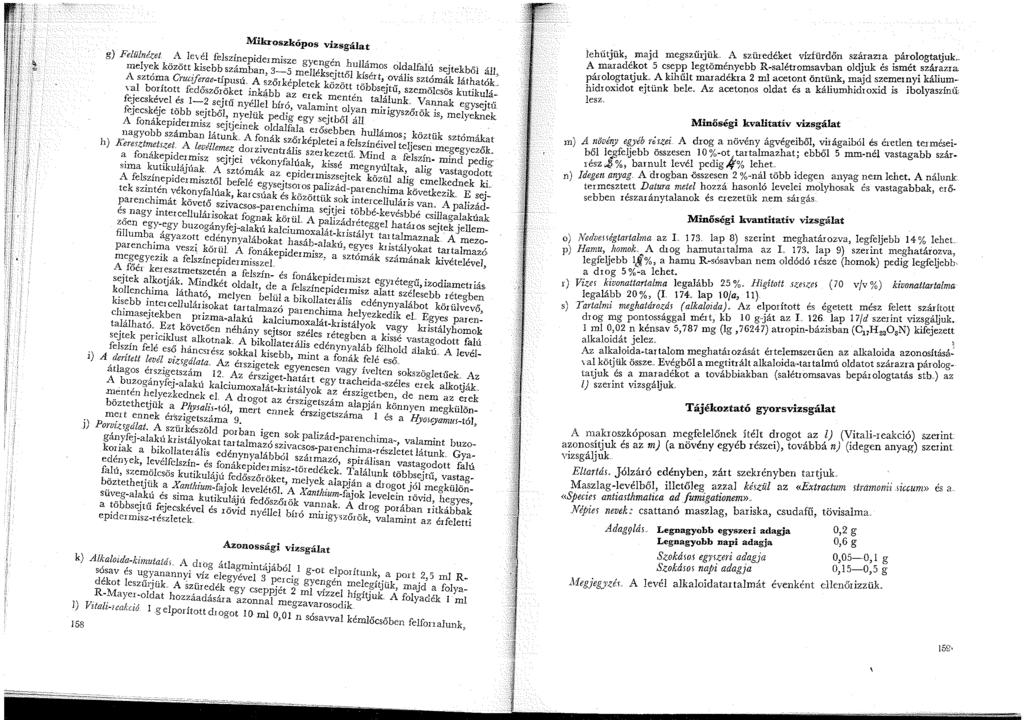 Mikr oszkópos vizsgálat g) F6lülnézet A le\él felszínepidermisze gyengén hullámos oldalfalú s~jtekbőí áll, melyek között kisebb számban, 3-5 mel!