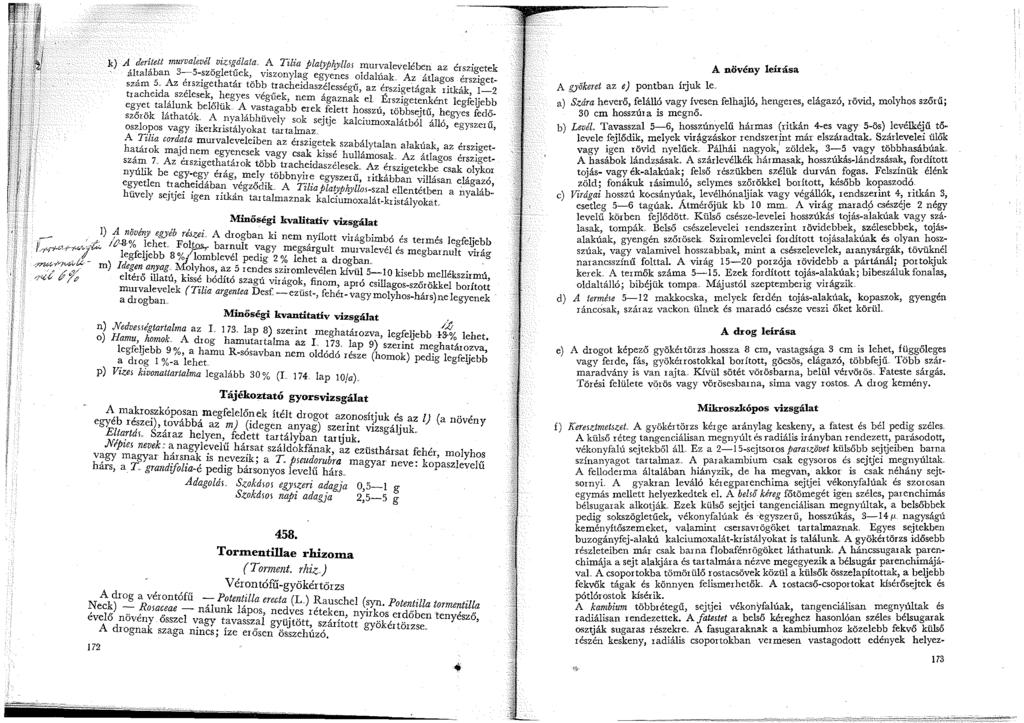 k) A derített murvalevél vi:ugálata, A Tiliá plary'h»llos murva! I'b., 'lt I'b 3 5.. t'" k. f'" evee en az erszgetek a a a an -. -szog e ue, viszonylag egyenes oldalú k A ',.