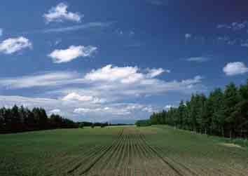 helyszíneknek.