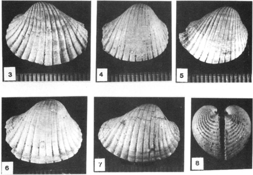 0 m) x2 Figs. 3-8.