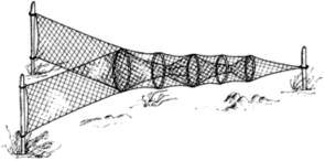 Huet, M. (1986): Cultivation of pike-perch. 175 192. In Textbook of Fish Culture. Breeding and Cultivation of Fish 1986. Fishing News Books Ltd. Farnham, Surrey, England 1 438. Jhingran, V.