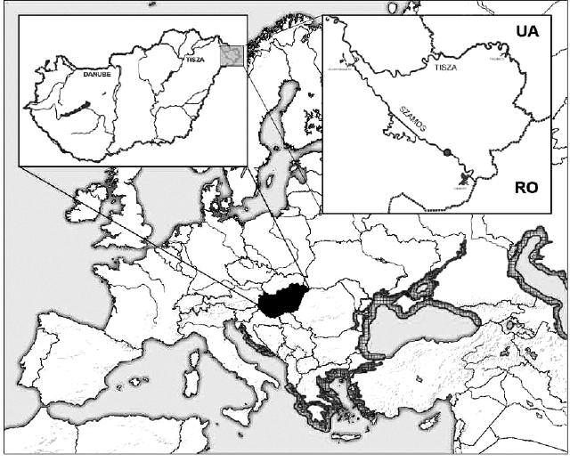 HALÁSZAT Vol. 104. (2011) pp. 120 128. víz mélysége változatos. A ri - pális régió sok helyen kövezett, általában a szórt kövezés jellemzô.