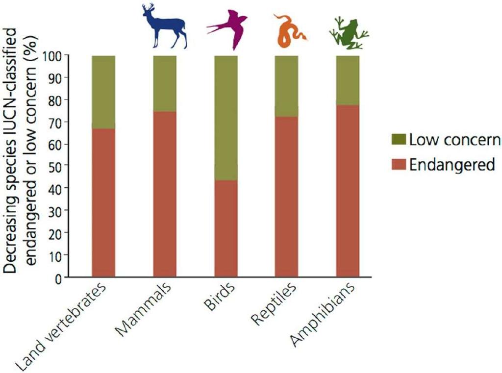 Biological annihilaton via the ongoing sixth mass extncton signaled by vertebrate populaton losses and declines Gerardo Ceballos, Paul R. Ehrlich, and Rodolfo Dirzo Proc. Natl. Acad. Sci.