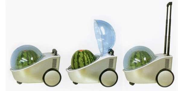Portable