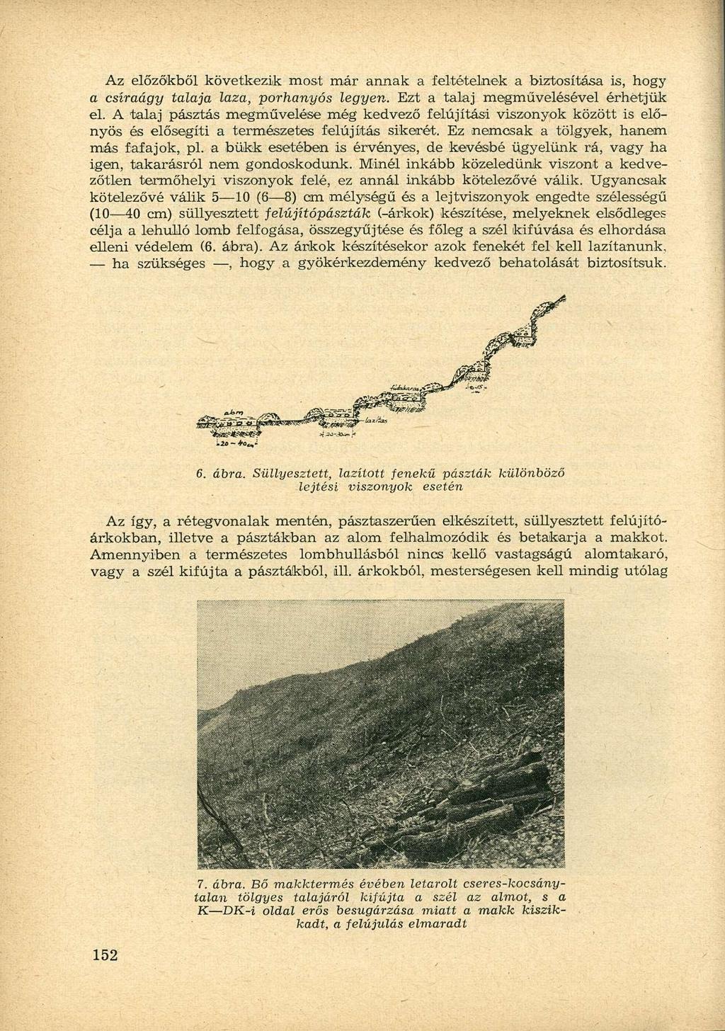Az előzőkből következik most már annak a feltételnek a biztosítása is, hogy a csíraágy talaja laza, porhanyós legyen. Ezt a talaj megművelésével érhetjük el.