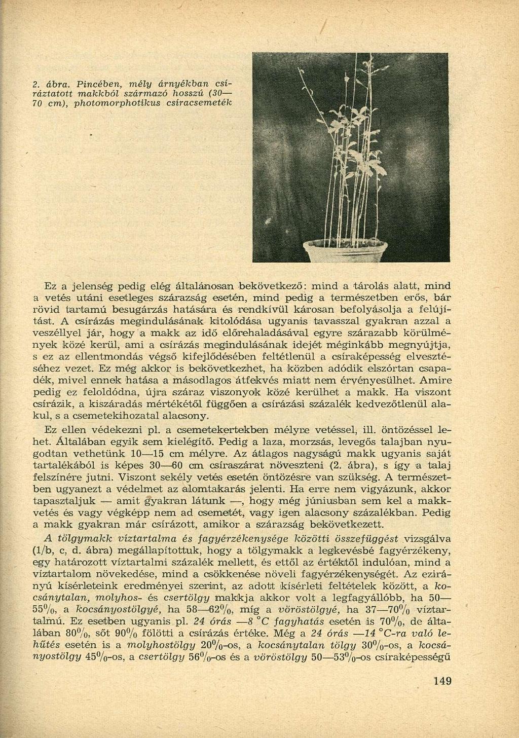 2. ábra.