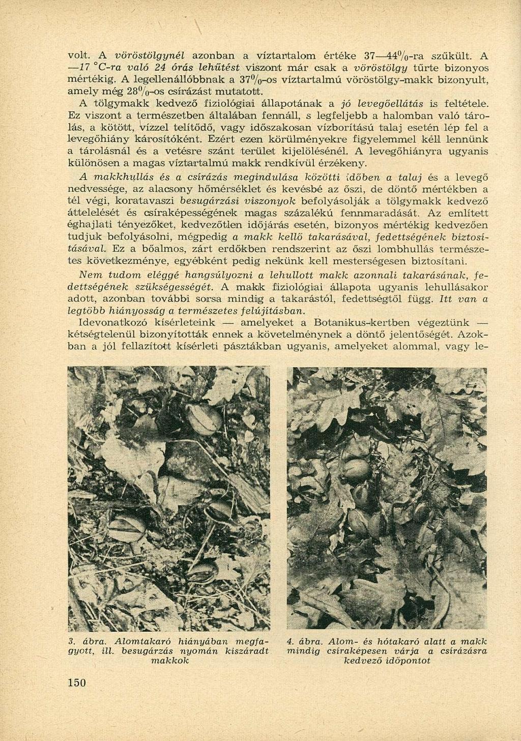 volt. A vöröstölgynél azonban a víztartalom értéke 37 44%-ra szűkült. A 17 C-ra való 24 órás lehűtést viszont már csak a vöröstölgy tűrte bizonyos mértékig.