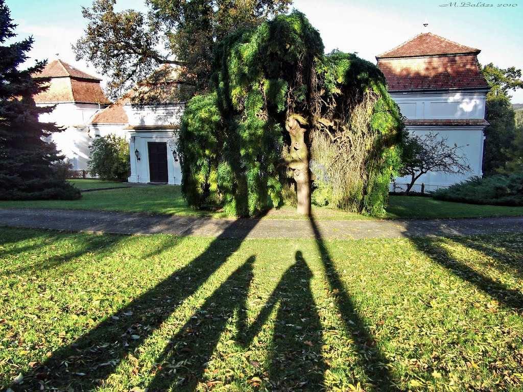 30 Építészeti útmutató