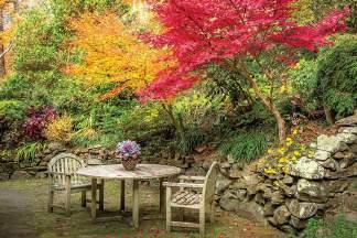 (Aucuba), a különleges talajigényű havasszépék (Rhododendron).