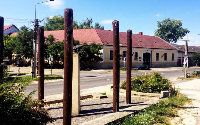 melegben jelentős szolgálatot tesznek, árnyékuk alatt